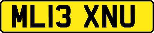 ML13XNU