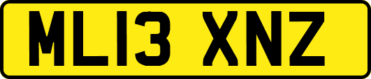 ML13XNZ