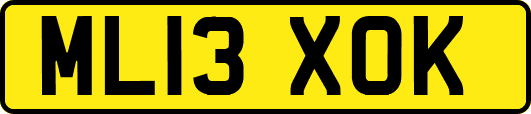 ML13XOK