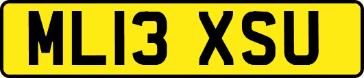 ML13XSU