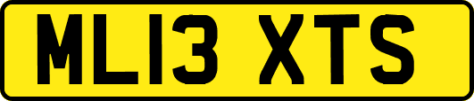 ML13XTS
