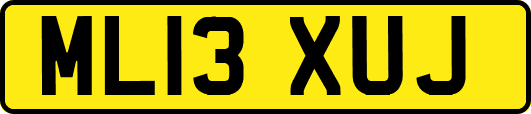 ML13XUJ