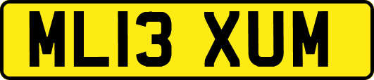 ML13XUM