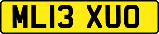 ML13XUO