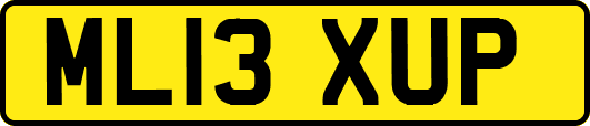 ML13XUP