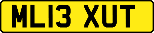 ML13XUT