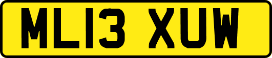 ML13XUW