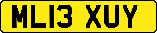 ML13XUY