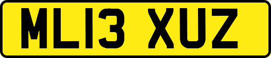 ML13XUZ