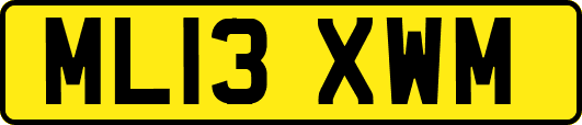ML13XWM