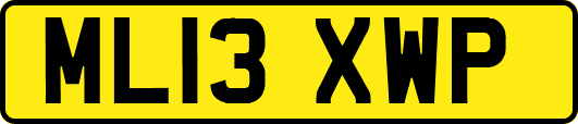 ML13XWP