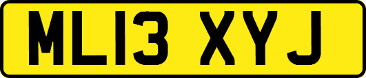 ML13XYJ