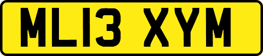 ML13XYM