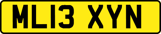 ML13XYN