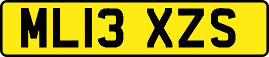 ML13XZS