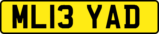 ML13YAD