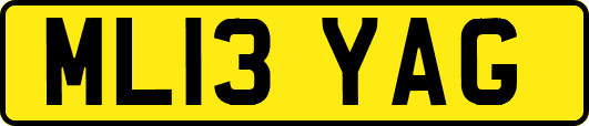 ML13YAG
