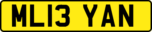 ML13YAN