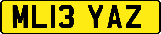 ML13YAZ