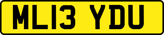 ML13YDU