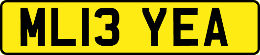 ML13YEA
