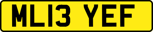 ML13YEF