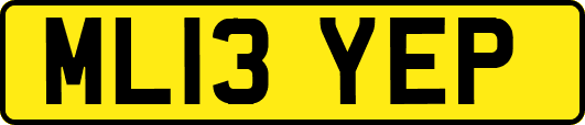 ML13YEP