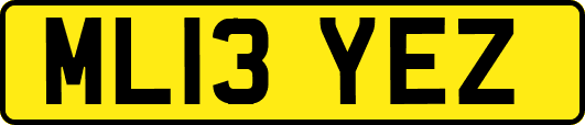 ML13YEZ