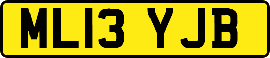 ML13YJB