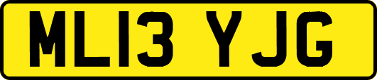 ML13YJG