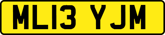 ML13YJM