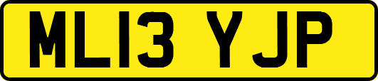 ML13YJP
