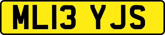 ML13YJS