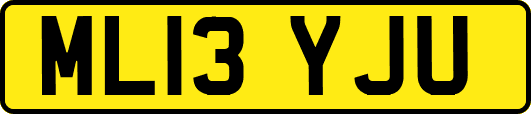ML13YJU