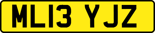 ML13YJZ