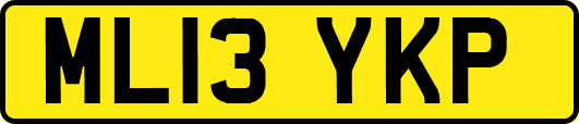 ML13YKP