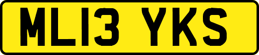 ML13YKS