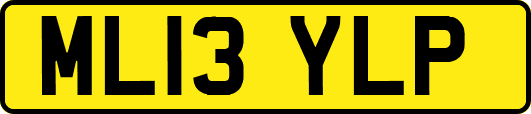 ML13YLP
