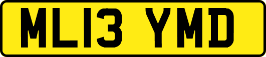 ML13YMD