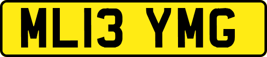 ML13YMG