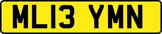 ML13YMN