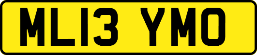 ML13YMO