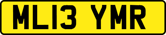 ML13YMR