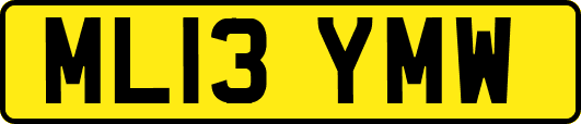 ML13YMW