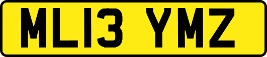 ML13YMZ