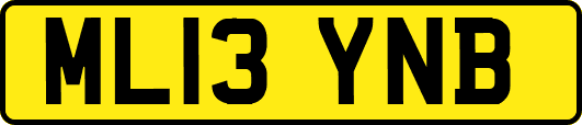 ML13YNB
