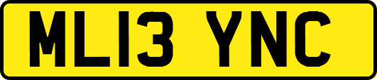 ML13YNC