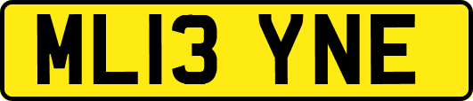 ML13YNE