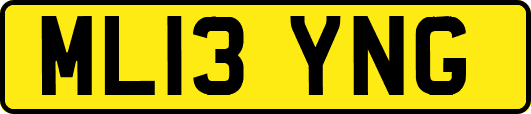 ML13YNG