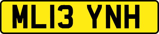 ML13YNH